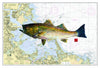 17 x22 Nautical Fish Prints (custom)
