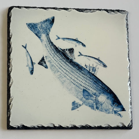 Striped bass Trivet