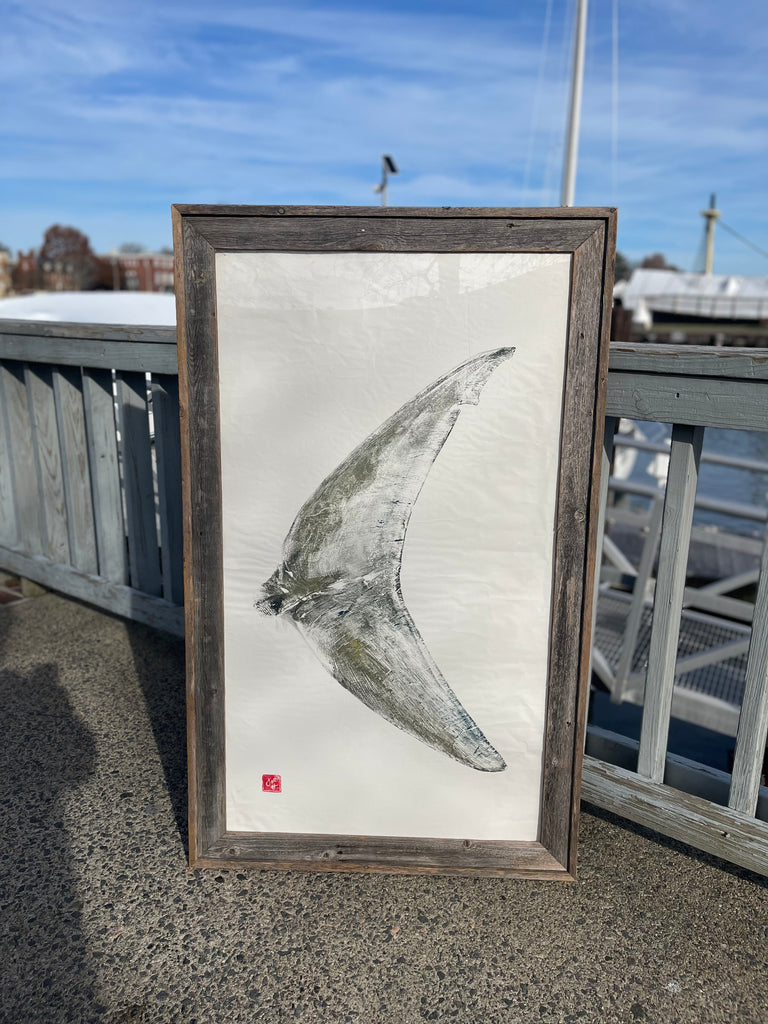 Mako shark tail 54 x29 Original Print fishedimpressions