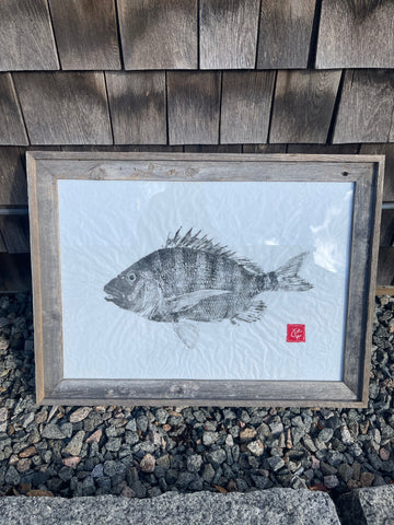 Sheepshead original
