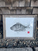 Sheepshead original