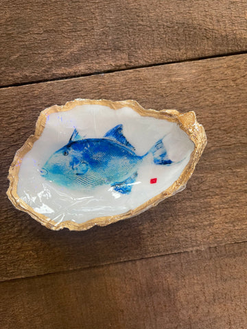 Trigger fish oyster shell