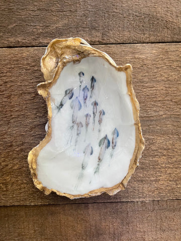 Squid school oyster shell