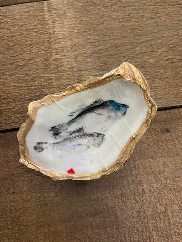 Double Black Sea Bass oyster shell