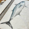 False albacore  Original