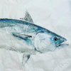 False albacore  Original