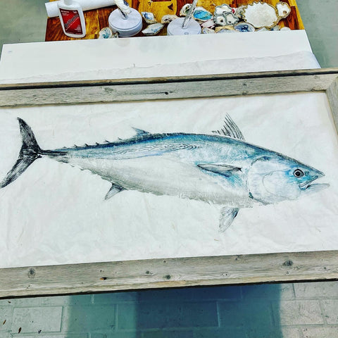 False albacore  Original