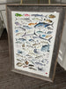 Framed limited edition 15 years of fish 41 x 29  framed print