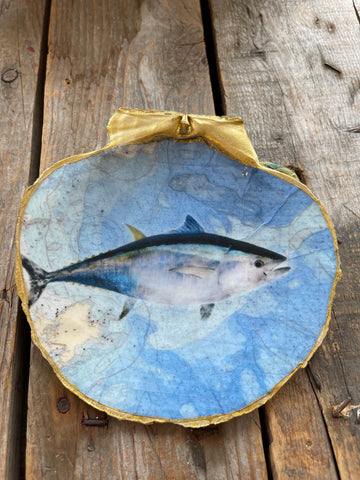 Bluefin on Gloucester chart   on scallop shell