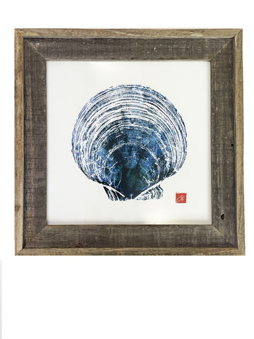 14 x 14  Scallop
