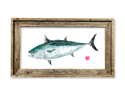 Framed false albacore  26 x 15 framed print