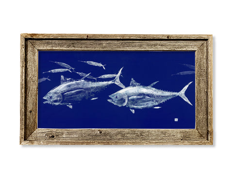 Framed Tuna chasing ballyhoo 26 x 15 framed print