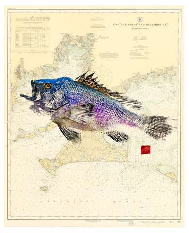 Copy of 24x18 Nautical Fish Prints (custom)