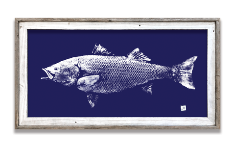 Framed Striped Bass on blue  41 x 22  framed print