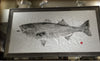 Original 50 pound striped bass- print 2
