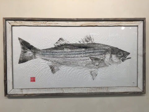 Original Striped Bass