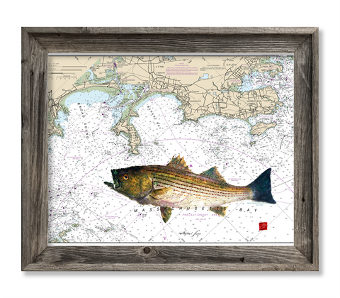 Nahant to Marblehead with Striped Bass