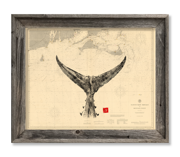 Nantucket Shoals with Tuna tail - old chart – fishedimpressions