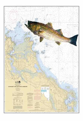Cohasset and Scituate with Striped Bass