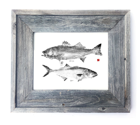 16 x 13 Framed Striper and Bluefish