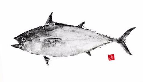 22 x 17 Limited Edition False Albacore Archival Print