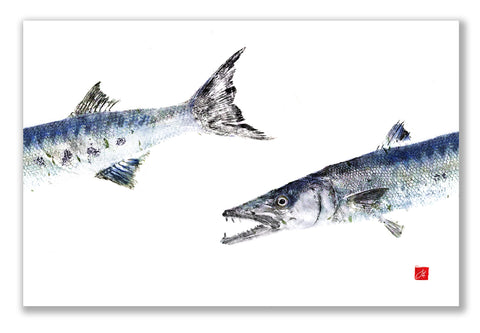 Barracuda  Placemat
