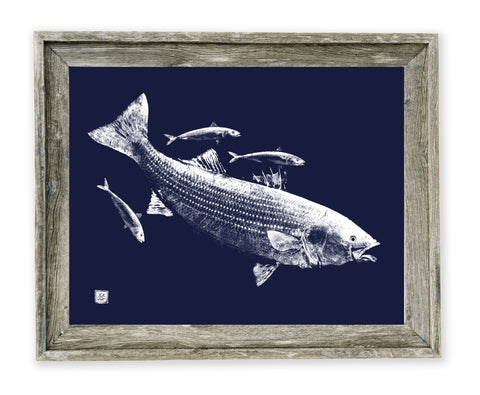 26 x 22 framed striper and macs blue background