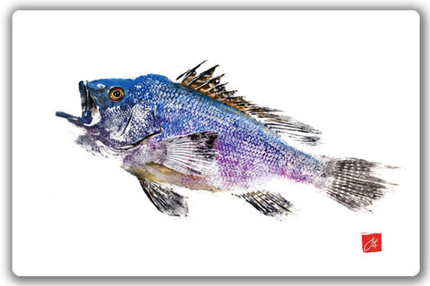 Black Seabass Placemat