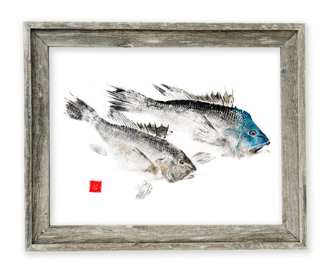 26 x 22 framed black sea bass pair