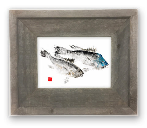 Small Framed  Black Sea Bass pair