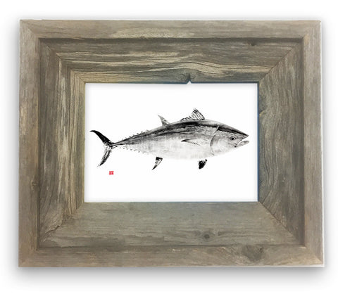 Small Framed Bluefin Tuna