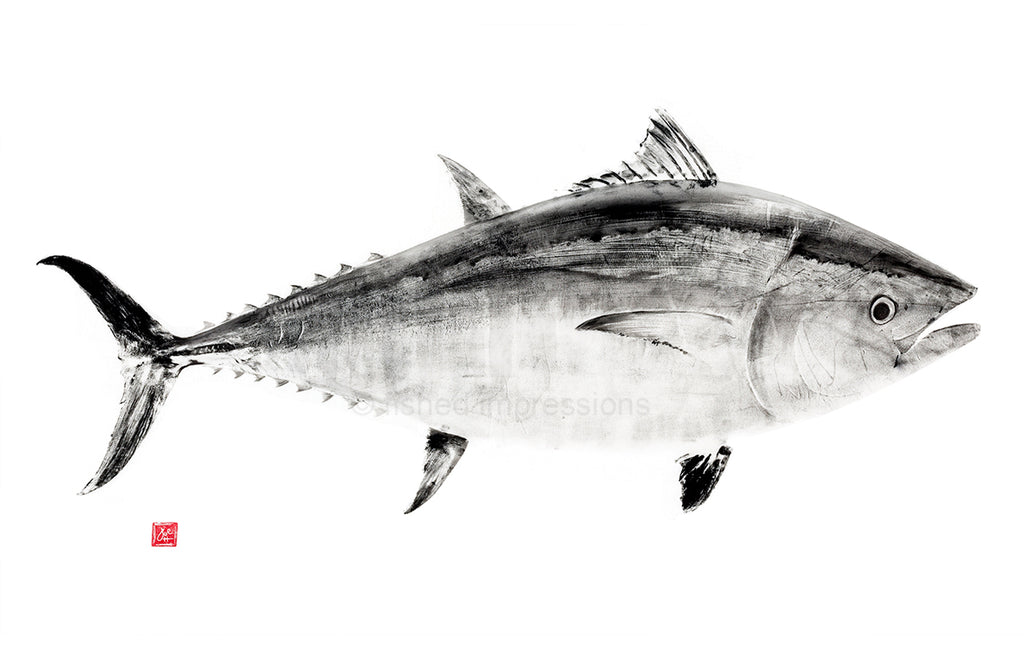 17 x 22 Bluefin Tuna Black ink Gyotaku Archival Print signed by artist -  fishedimpressions