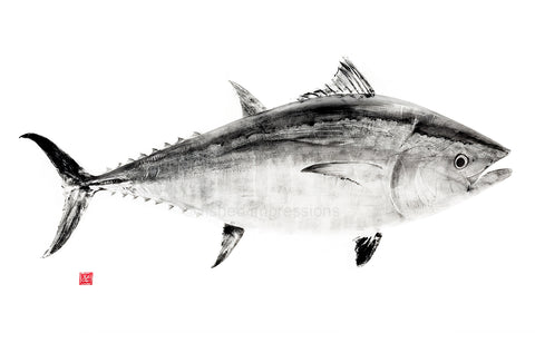 17 x 22  Bluefin Tuna Black ink Gyotaku Archival Print signed by artist