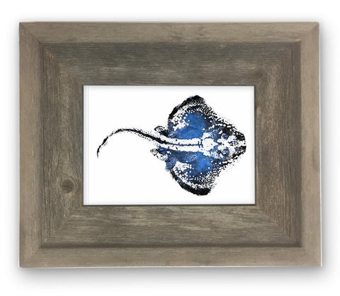 Small Framed Blue Skate
