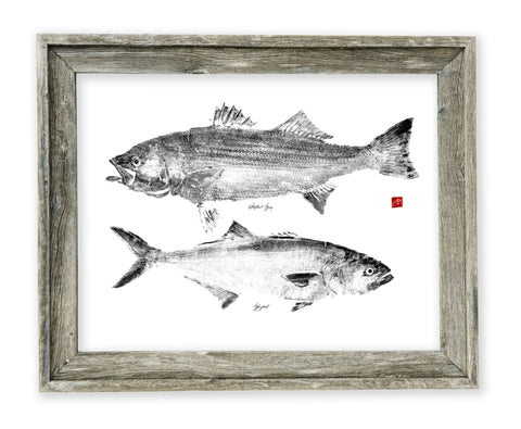 26 x 22 framed striper and bluefish