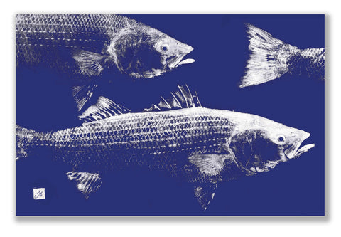 Striped Bass School Placemat