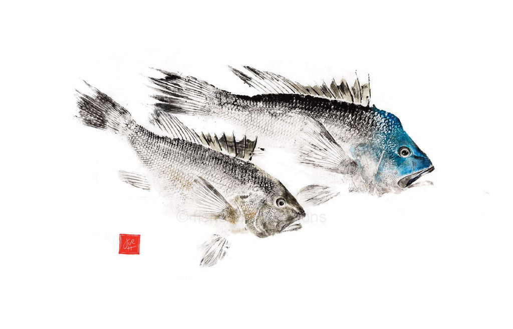 Buy Two Bluefish GYOTAKU fish Rubbing Art print 8.5 X 11 inch by