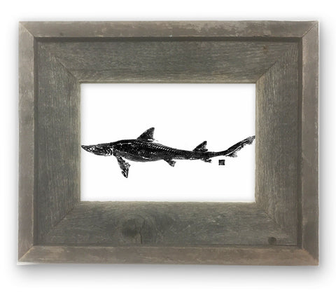Small Framed Dogfish