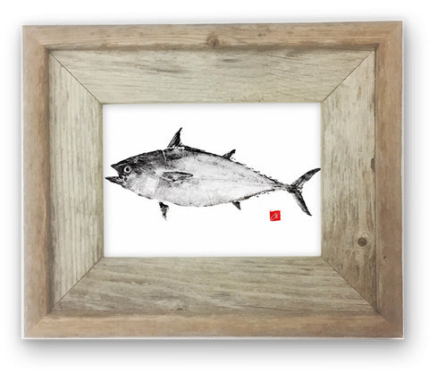 Small Framed False Albacore