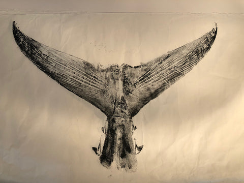 Tuna Tail - Original Print