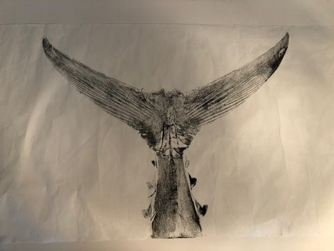 Tuna Tail - Original Print