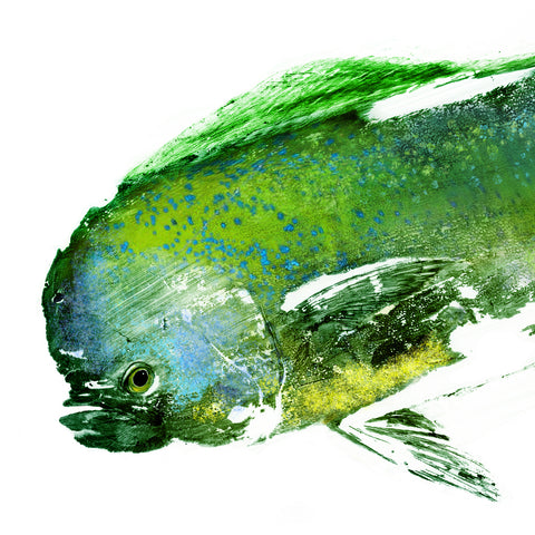 Small Framed Mahi