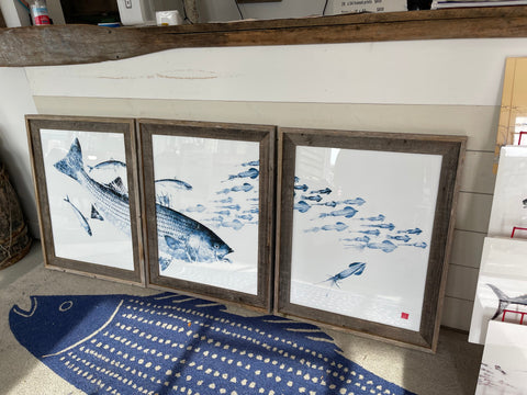 Copy of Framed Striped bass Chasing Macs triptych indigo