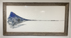 Swordfish head