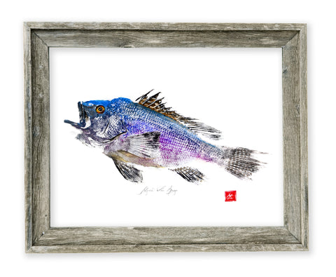 26 x 22 framed Black Sea Bass