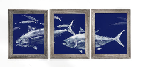 Tuna chasing ballyhoo framed triptych