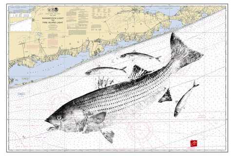 Shinnecock Light with striped bass
