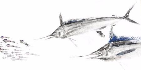 22x 17 Limited Edition White marlin School Gyotaku Archival Print