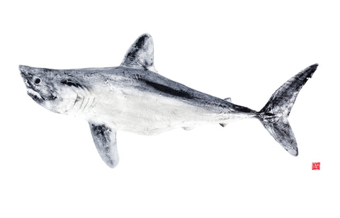 22x 17  Porbeagle Shark Gyotaku Archival Print