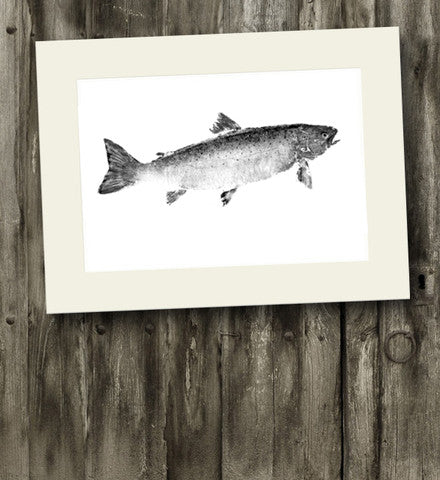 14 x11 Salmon Gyotaku Archival Print